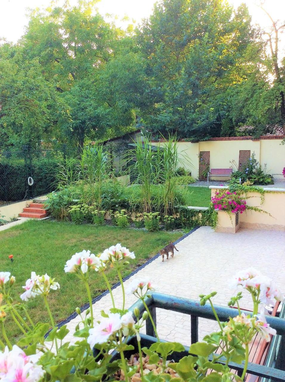 Apartament Amaryllis Krakow Bagian luar foto